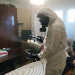 Дезинфекция от клопов в Новохоперске
